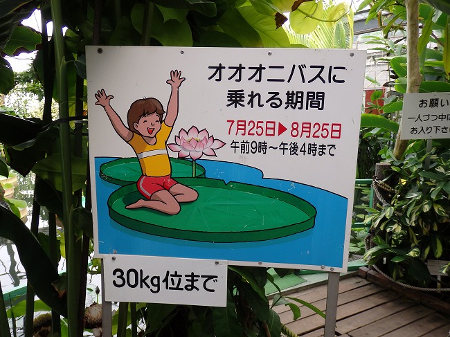 尻だ ワニだ バニラだ 熱川バナナワニ園語りの続き 尻だ ワニだ バニラだ 熱川バナナワニ園語りの続き