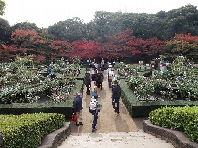 舞台モデル 洋館めぐり1 旧岩崎邸 旧前田侯爵邸 旧古河庭園 舞台モデル 洋館めぐり1 旧岩崎邸 旧前田侯爵邸 旧古河庭園