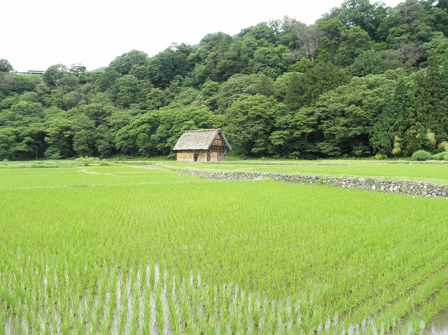 聖地巡礼 In 白川郷等 09 10年