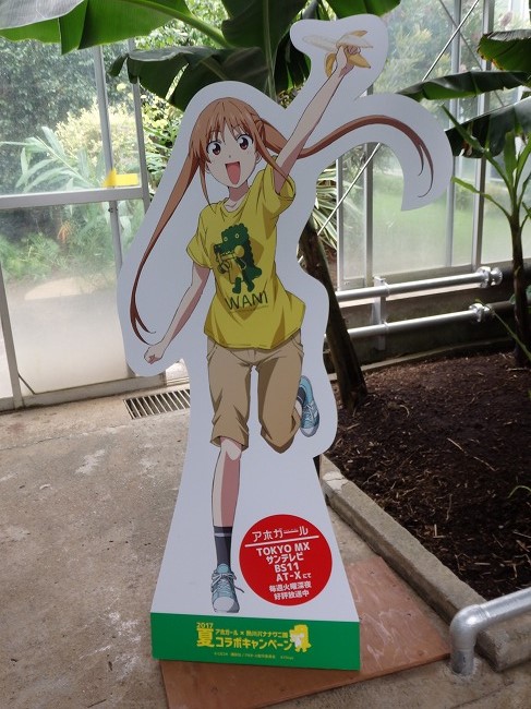 アホだ バナナだ アホガールx熱川バナナワニ園コラボキャンペーン