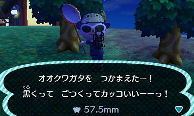 とびだせ どうぶつの森 お金稼ぎ技を実践してみた ま 坊のまったりたいむ とびだせ どうぶつの森 お金稼ぎ技を実践してみた ま 坊のまったりたいむ