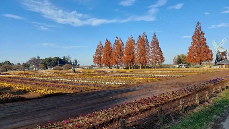 あけぼの山農業公園