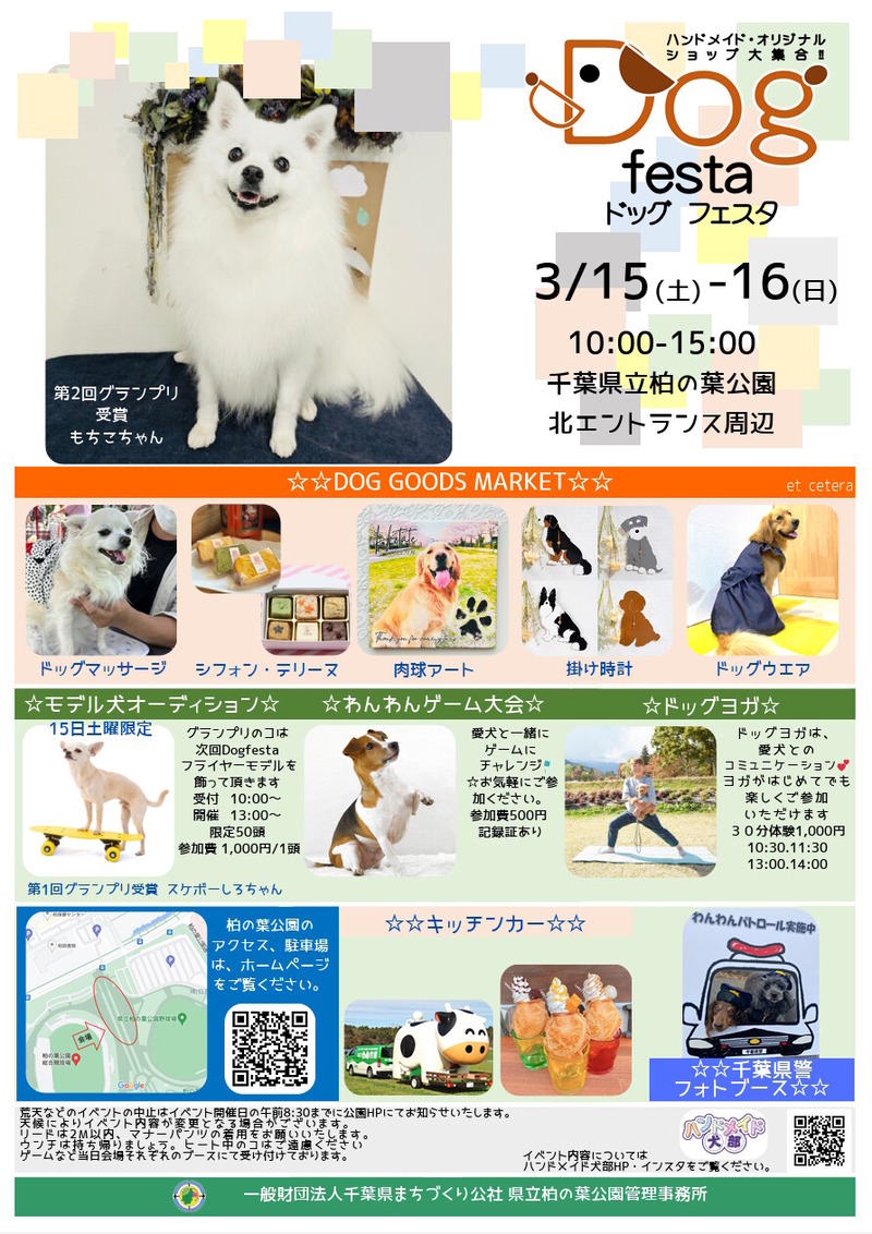 ����ո��� DogFesta 2025