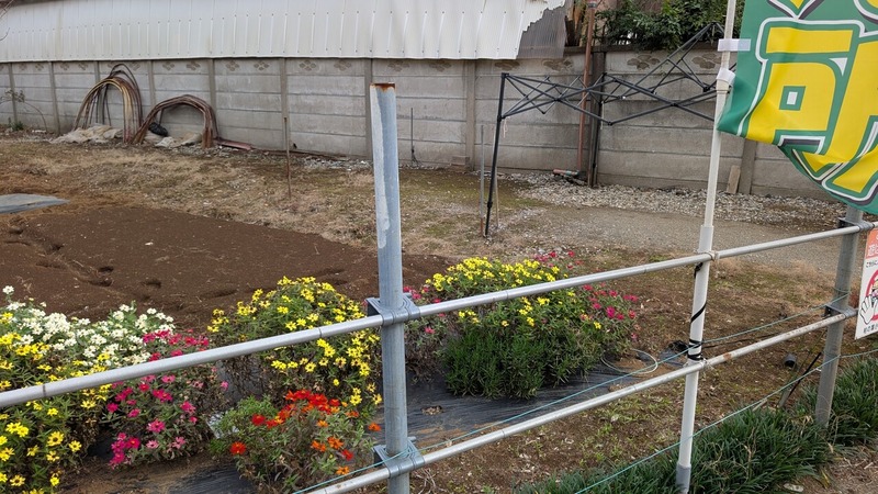 ���ľ���