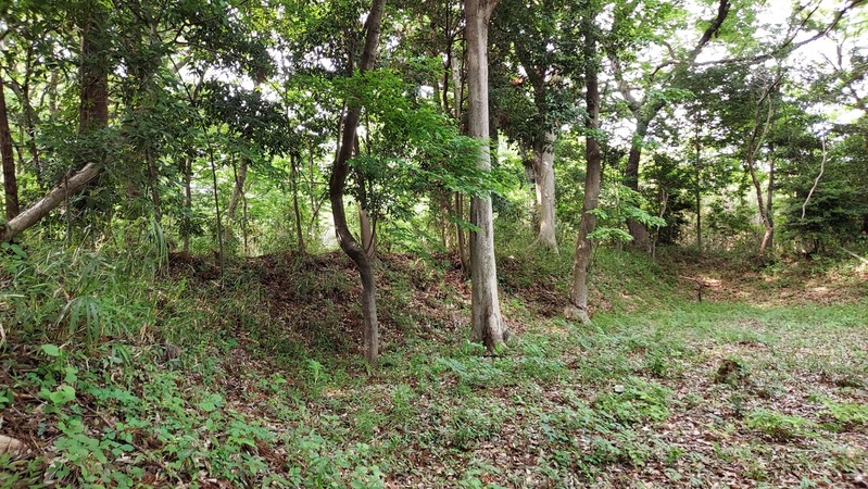 ����֤����Ӽ�����ʪ����