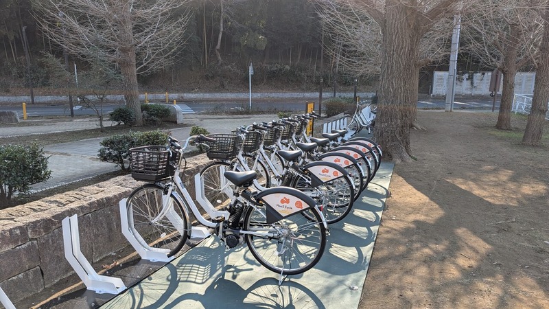 柏ふるさと公園