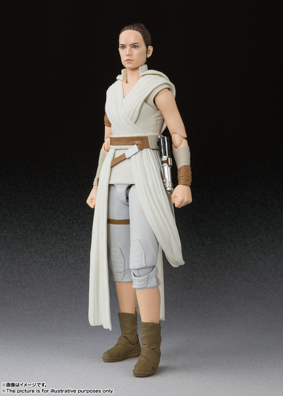 S.H.Figuarts �쥤 & D-O