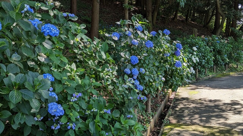あけぼの山農業公園