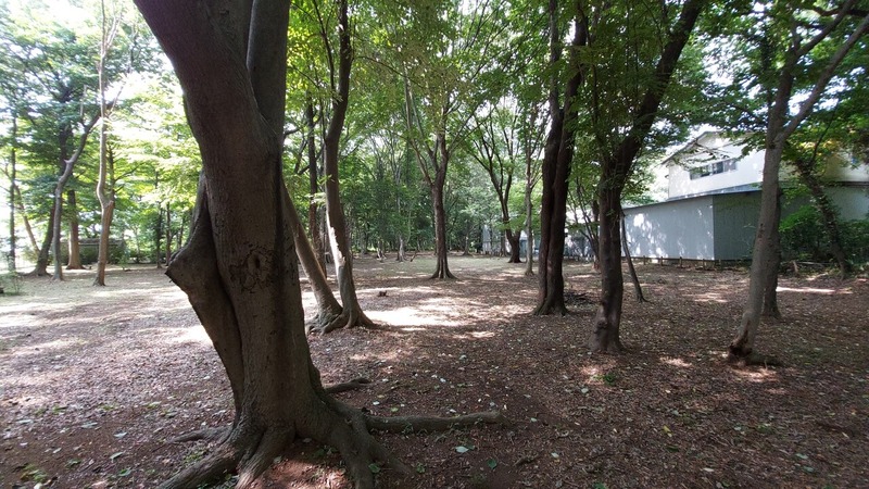 ���ڤդ뤵�Ȥο�
