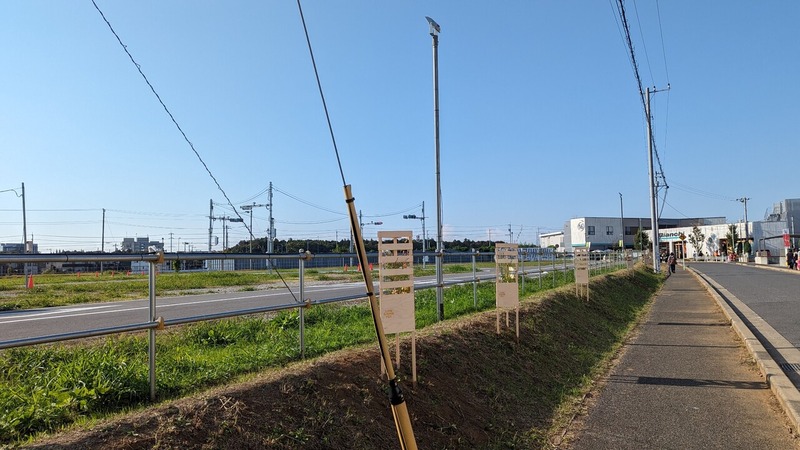 LINK GARDEN FES
