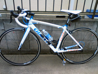 GIANT TCR 1