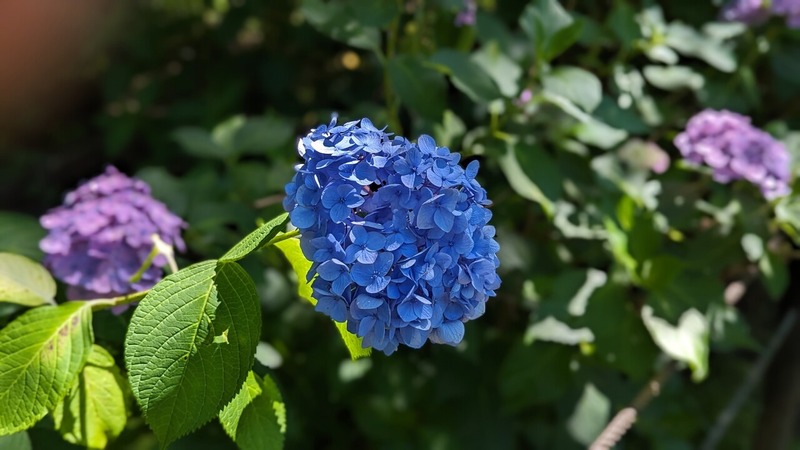 ���ڻ����۲�