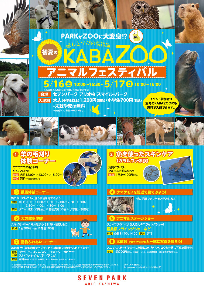 ��Ƥ�KABAZOO ���˥ޥ�ե����ƥ��Х�