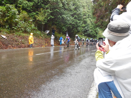 ジャパンカップサイクルロードレース2013