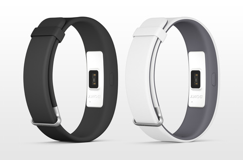 SmartBand 2 SWR12