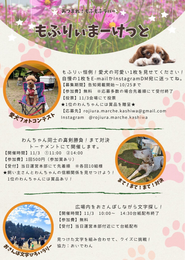 ��դꤣ�ޡ����ä�