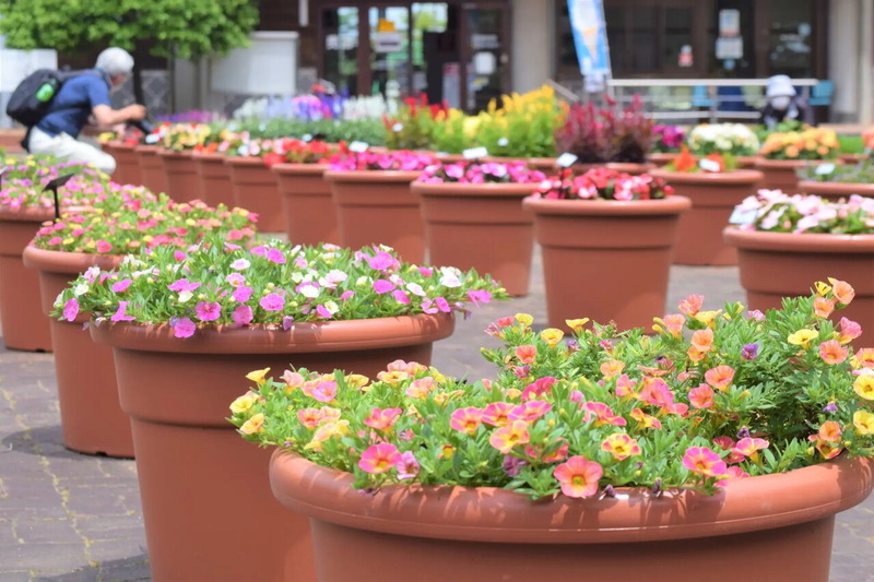 Trial Garden�ʥȥ饤���륬���ǥ��