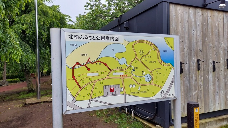 手賀沼の入り口にある「北柏ふるさと公園」で「じゃぶじゃぶ池」が7月18日から開放