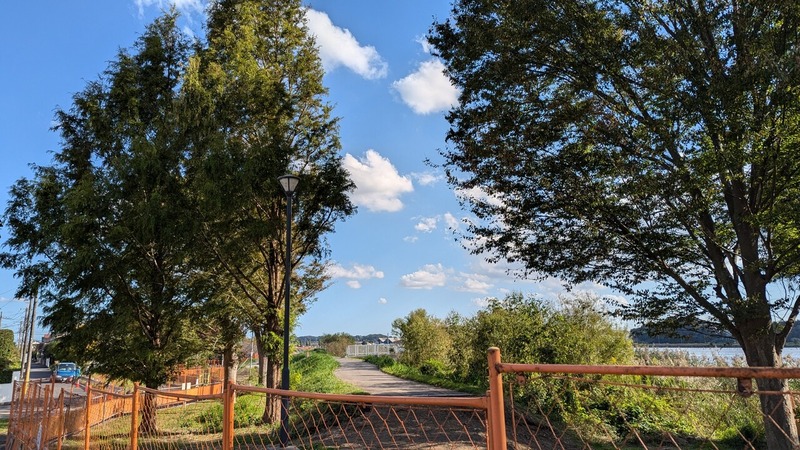 手賀沼新遊歩道