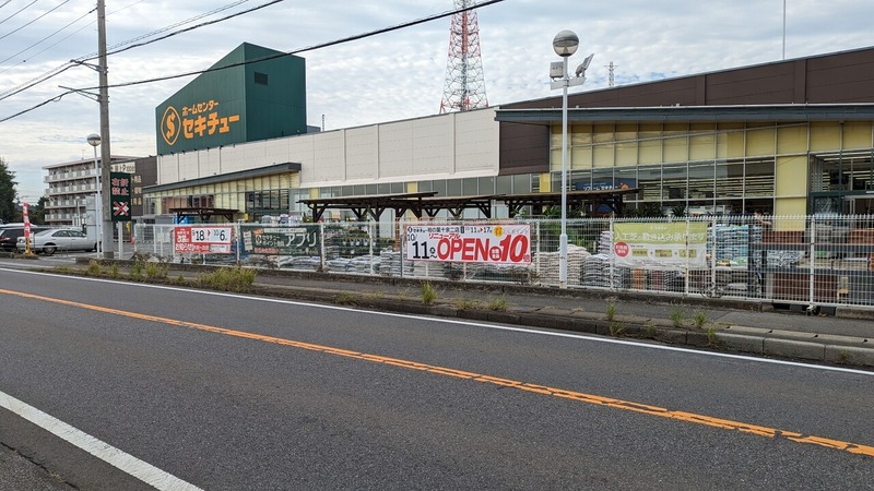 セキチュー 柏の葉十余二店