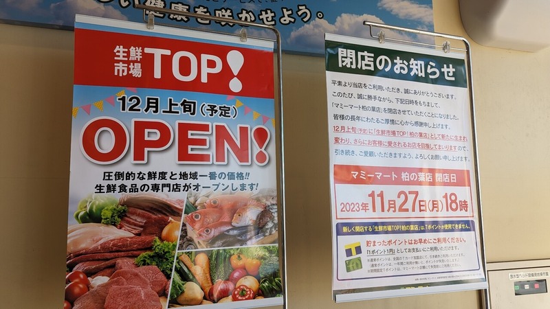 ��������TOP �����Ź