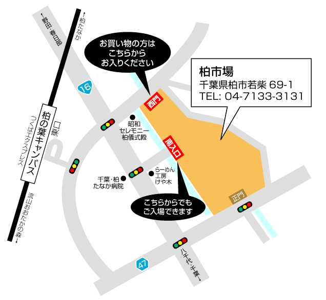 柏市公設総合地方卸売市場
