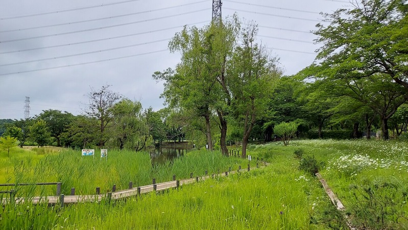 ����դ뤵�ȸ���