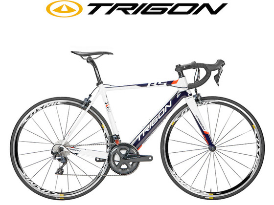 TRIGON RS