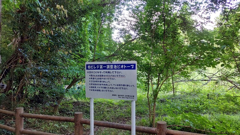 ��ӥ쥸���Ĵ���ӥӥ��ȡ���