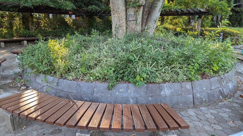 ドトール パークカフェ 柏の葉公園店