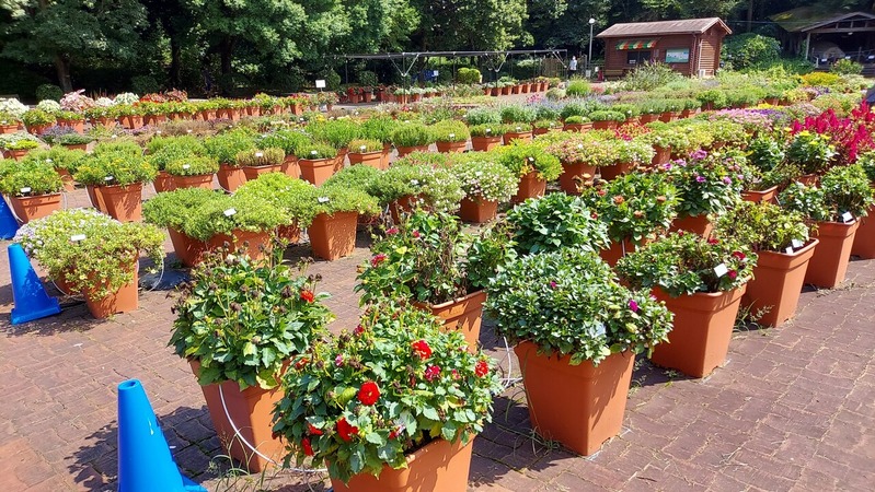 Trial Garden�ʥȥ饤���륬���ǥ��