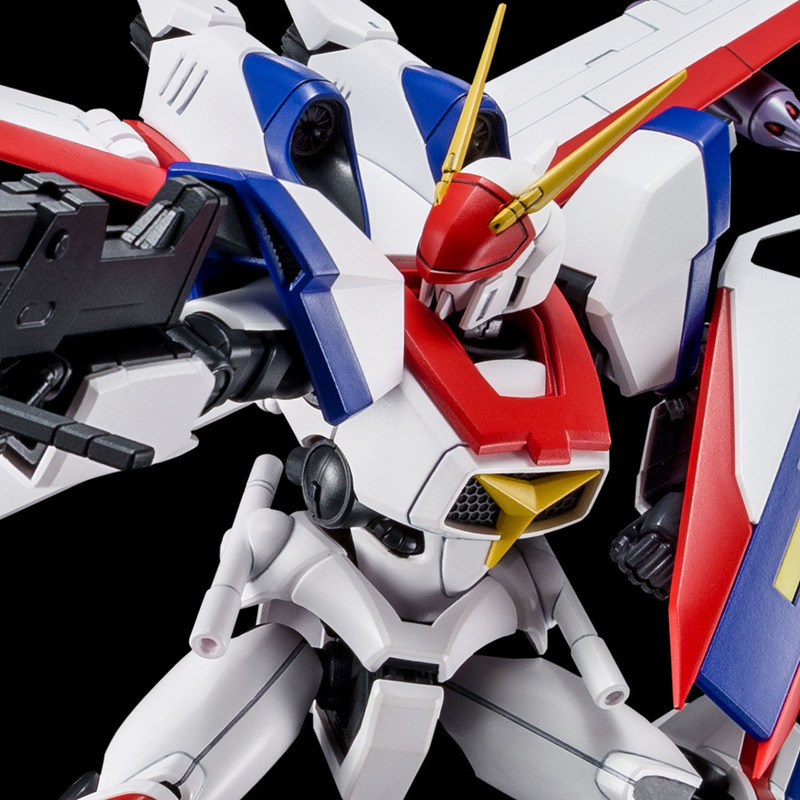 HG 1/144 �ɥ饰�ʡ�1 ��ե���������������