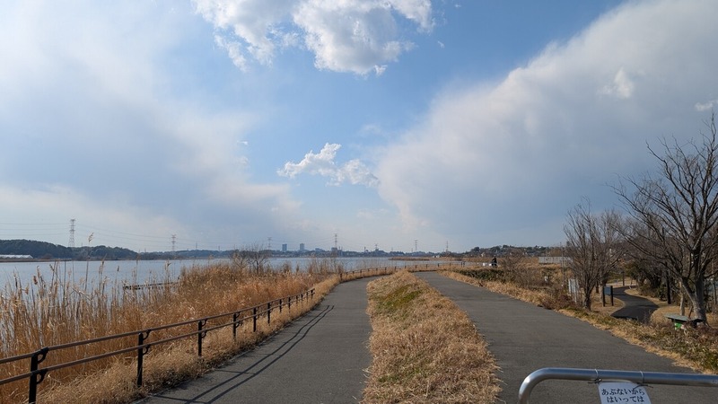 湖岸堤遊歩道