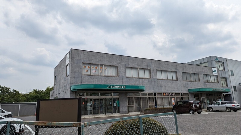 柏名産小かぶ直売会