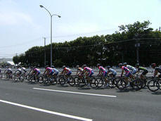 ツアー・オブ・ジャパン2013東京ステージ