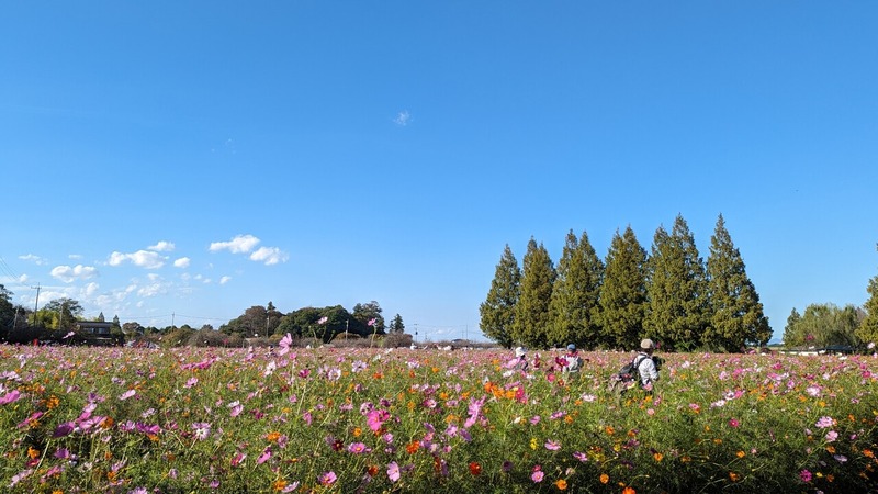 あけぼの山農業公園