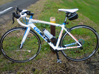 GIANT TCR 1