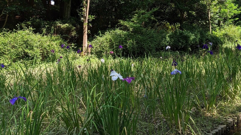 あけぼの山農業公園