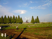 あけぼの山