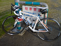 GIANT TCR 1