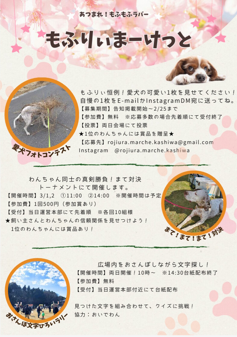 ��դꤣ�ޡ����ä�
