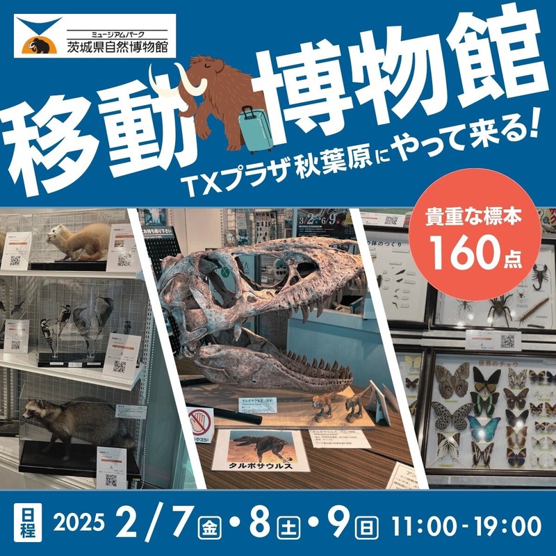 �ߥ塼������ѡ�����븩������ʪ��