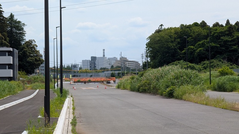 都市軸道路