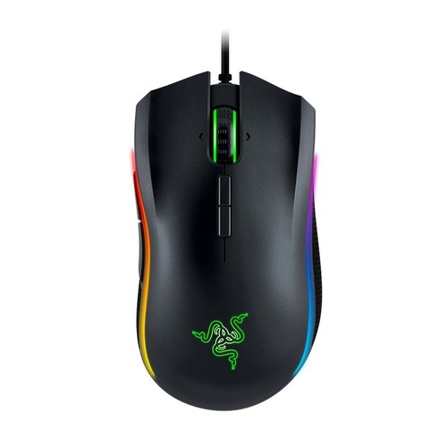 Mamba TE