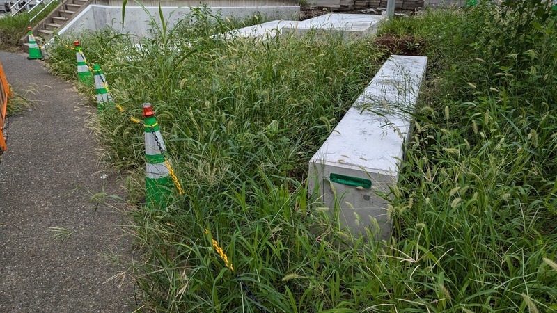 ή�����������ο��������󥿡��϶�ƻϩ������������