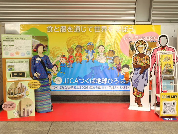 JICA����