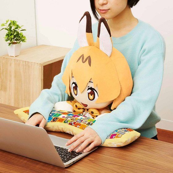 ����Υե�� PC���å���� �����Х�