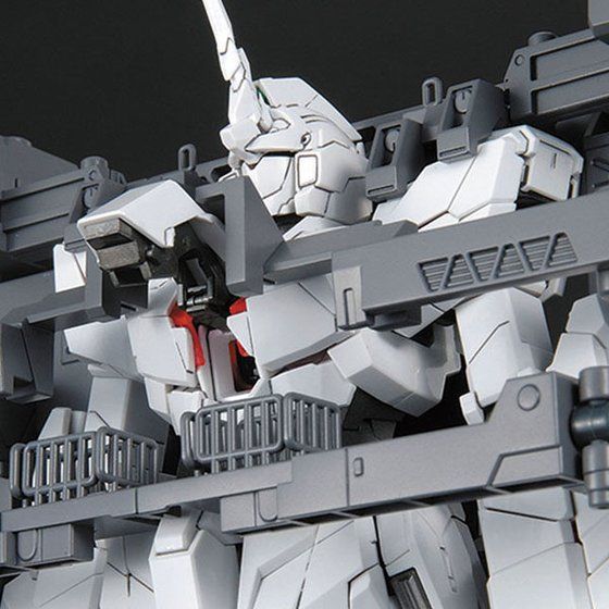 MG 1/100 MS CAGE