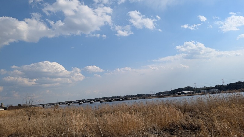 湖岸堤遊歩道