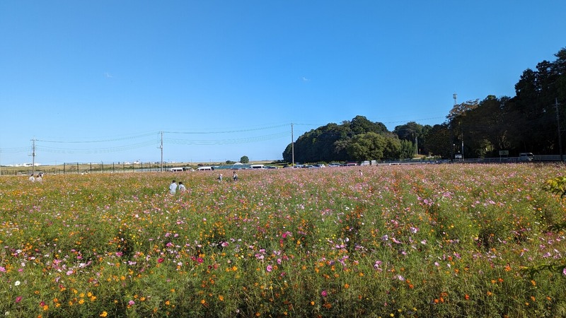 あけぼの山農業公園